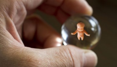 abortion